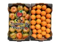Boîte Mixte 13,6 kg (8,6 kg tomates + 5 kg oranges)