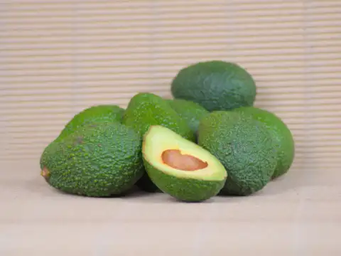 Avocats Hass
