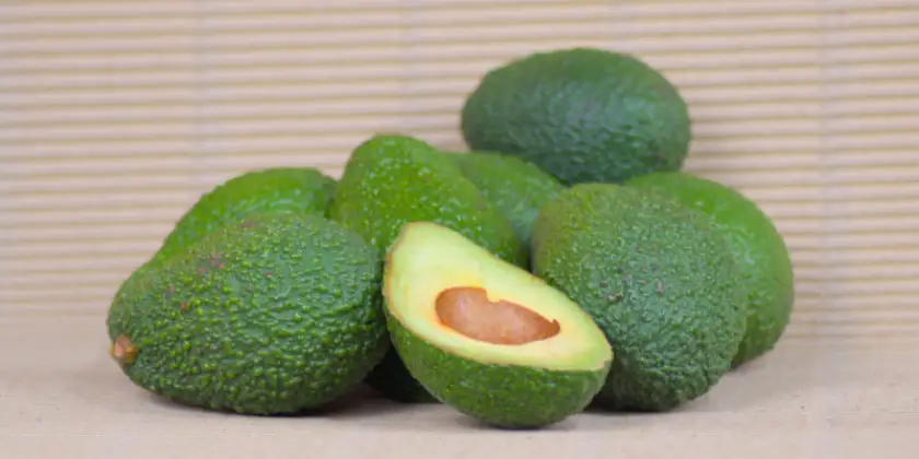 Avocats Hass