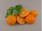 Acheter des MANDARINES BIO