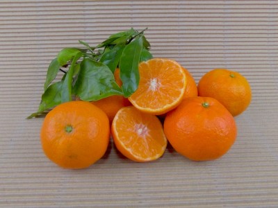 Boîte Mandarines BIO 15 kg
