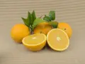 Boîte Oranges 10 kg