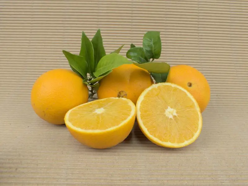Boîte Oranges 10 kg
