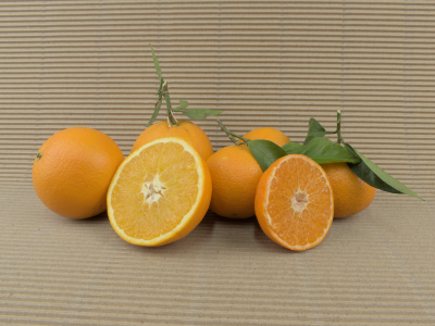Boîte Mixte BIO 10 kg (5 kg oranges + 5 kg mandarines)