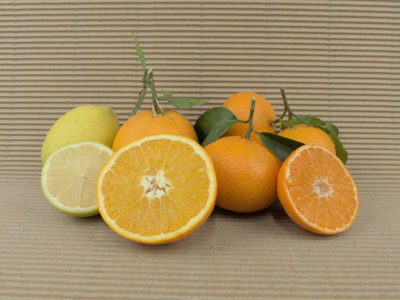 Boîte Mixte 20 kg (5 kg oranges + 5 kg mandarines + 10 kg citrons)