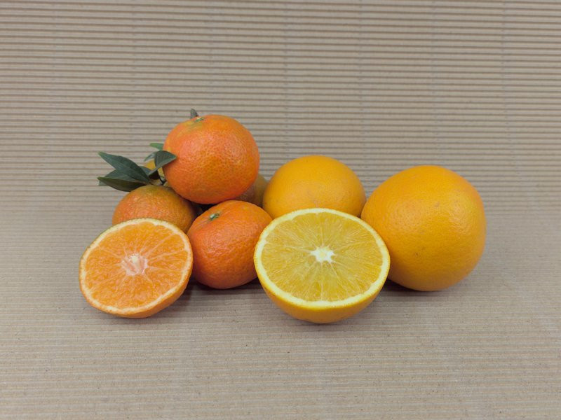 Boîte Mixte BIO 20 kg (15 kg oranges + 5 kg mandarines)