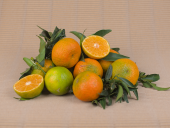 Acheter des MANDARINES