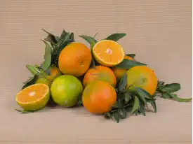 Acheter des MANDARINES
