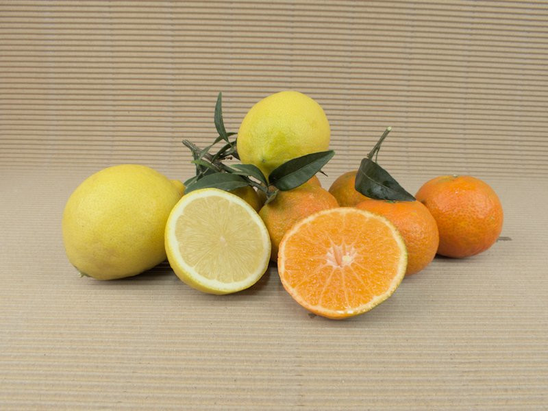 Boîte Mixte BIO 20 kg (8 kg mandarines + 12 kg citrons)
