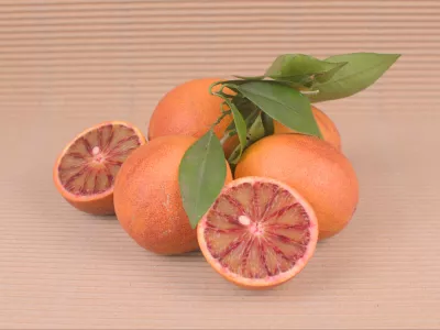 Boîte Oranges Sanguinelli Bio 10 kg