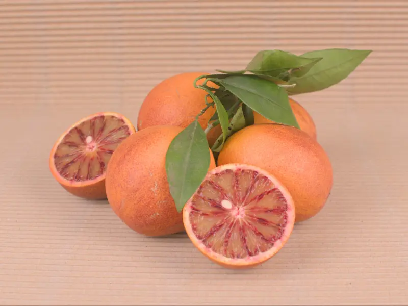 Boîte Mixte 20 kg (10 kg oranges + 10 kg Sanguinelli)