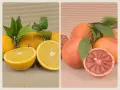 Boîte Mixte 20 kg (10 kg oranges + 10 kg Sanguinelli)