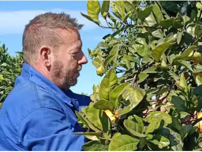 Fran Nicolás: Cueilleur