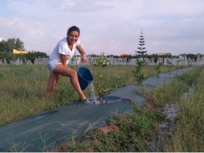 Dans la nouvelle plantation