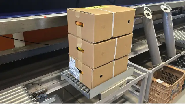 15 kg · 3 colis