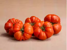 Acheter des TOMATES
