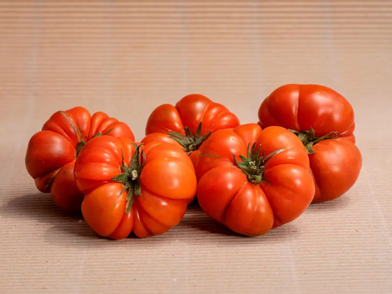 Boîte Mixte 13,6 kg (8,6 kg tomates + 5 kg oranges)