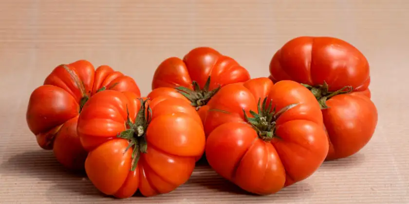 Tomates RAF