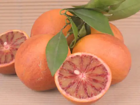 Oranges sanguines Sanguinelli